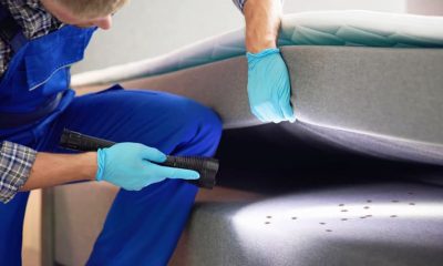 Causes, Signs, and Effective Treatment Options