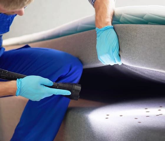 Causes, Signs, and Effective Treatment Options