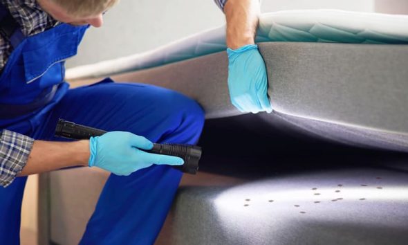 Causes, Signs, and Effective Treatment Options