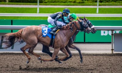 Horse racing has always captivated UK sports fans, with centuries of rich traditions and thrilling finishes on renowned courses like Ascot and Cheltenham.