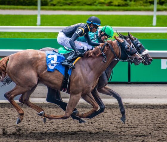 Horse racing has always captivated UK sports fans, with centuries of rich traditions and thrilling finishes on renowned courses like Ascot and Cheltenham.