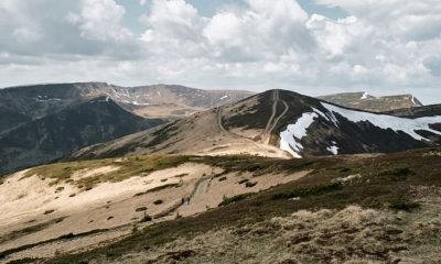 How an International Environmental Campaign Intertwines with Local Interests