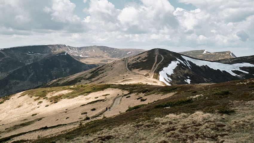 How an International Environmental Campaign Intertwines with Local Interests