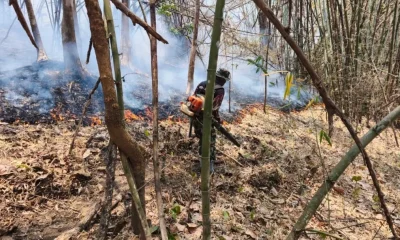 Thailand and the Mekong region engulfed in smoke as relentless forest fires continue