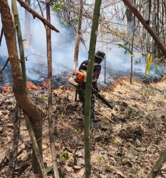 Thailand and the Mekong region engulfed in smoke as relentless forest fires continue