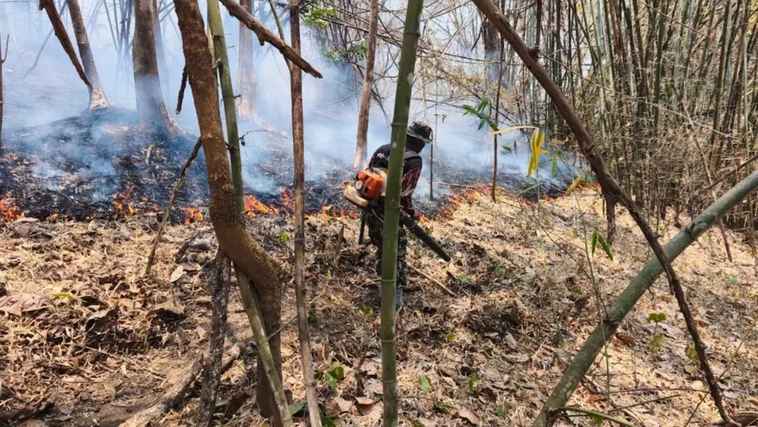 Thailand and the Mekong region engulfed in smoke as relentless forest fires continue