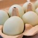 Egg prices in the US are much lower than last Easter