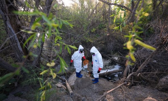 Tijuana River sewage is making the air toxic, scientists say