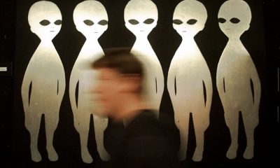 We wonder about aliens in UFOs. Do they wonder about us?