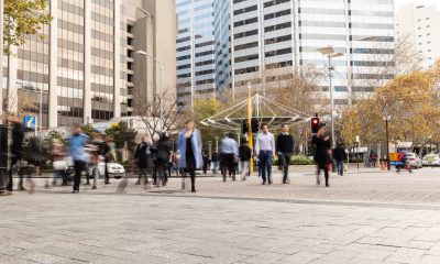 Half of mid-market CEOs predict no growth, KPMG finds