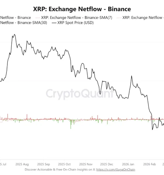 XRP Short Squeeze Builds as Whales Pull Millions From Binance Amid Negative Funding Rate