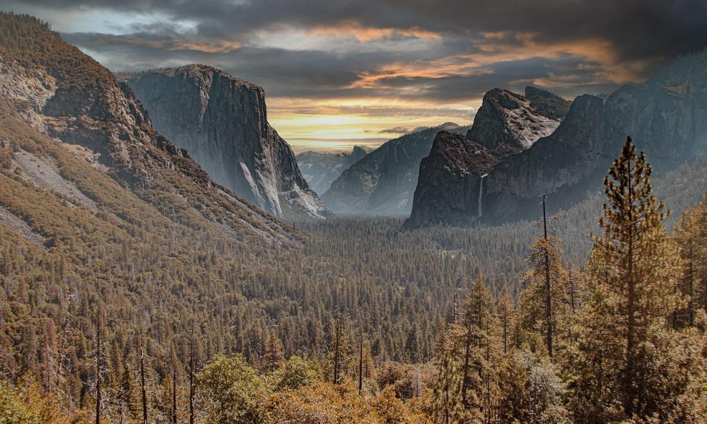 Yosemite National Park