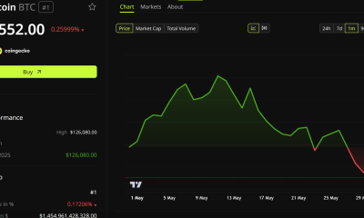 Bitcoin (BTC) Price Performance
