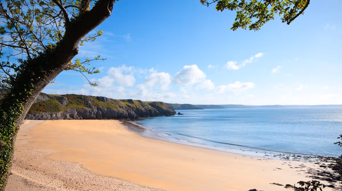 Wales Online