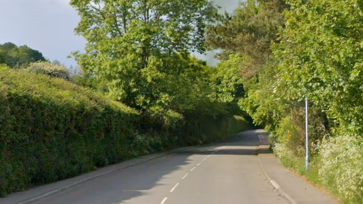 Wales Online