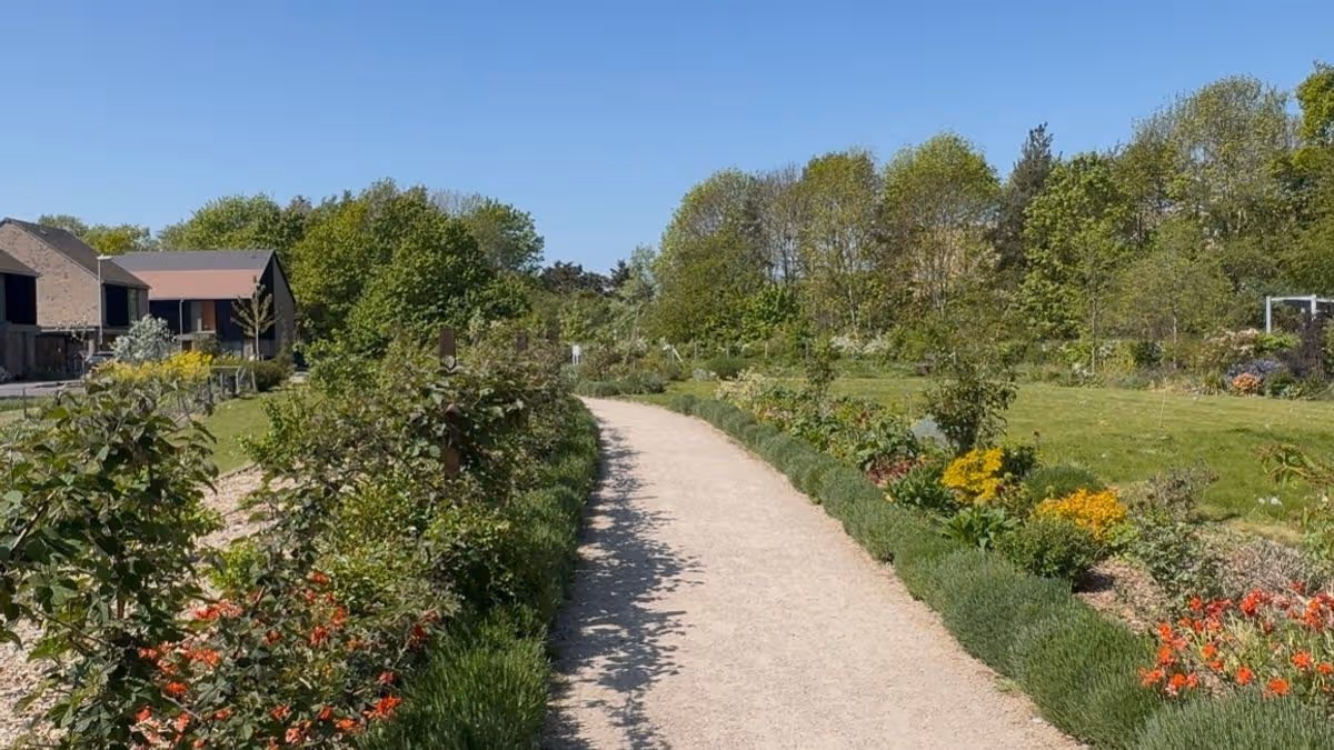 Cambridgeshire Live
