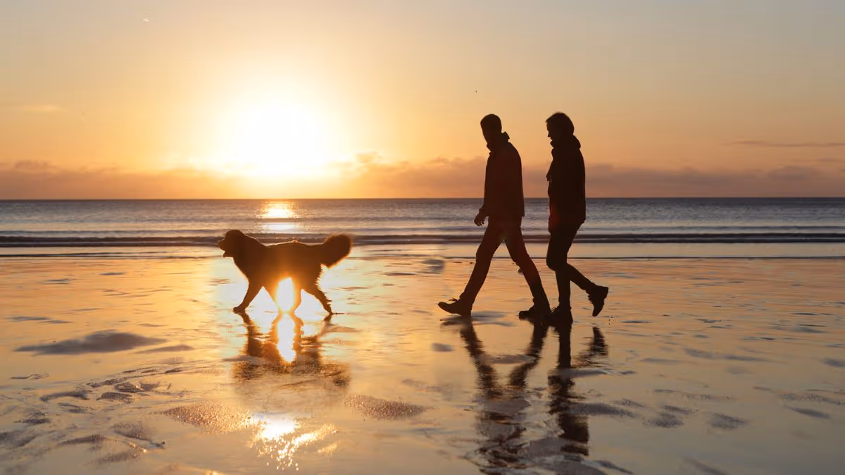 Full list of Norfolk beaches where dogs are welcome all year round