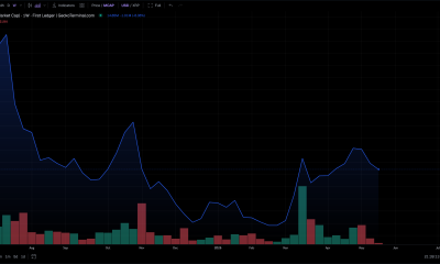Former Ripple CTO Talks About Meme Coins as Investment
