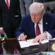 Why Trump is encouraging psychedelics for mental health