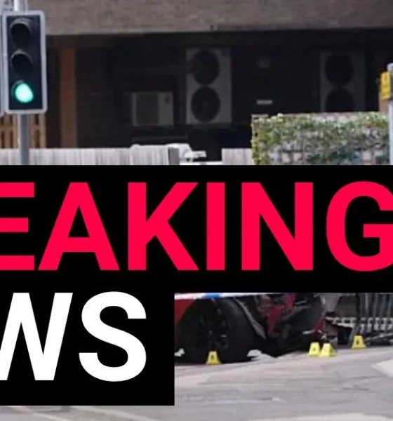 Man arrested after ploughing car into pedestrians and fleeing | News UK