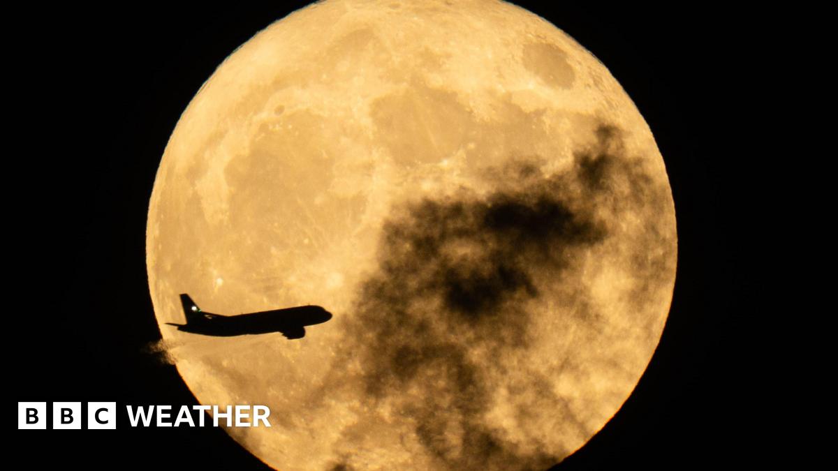 A plane seen flying in front of a Flower Moon