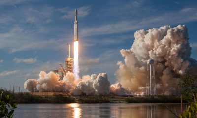 Near Protocol to automate its own growth and its token is skyrocketing