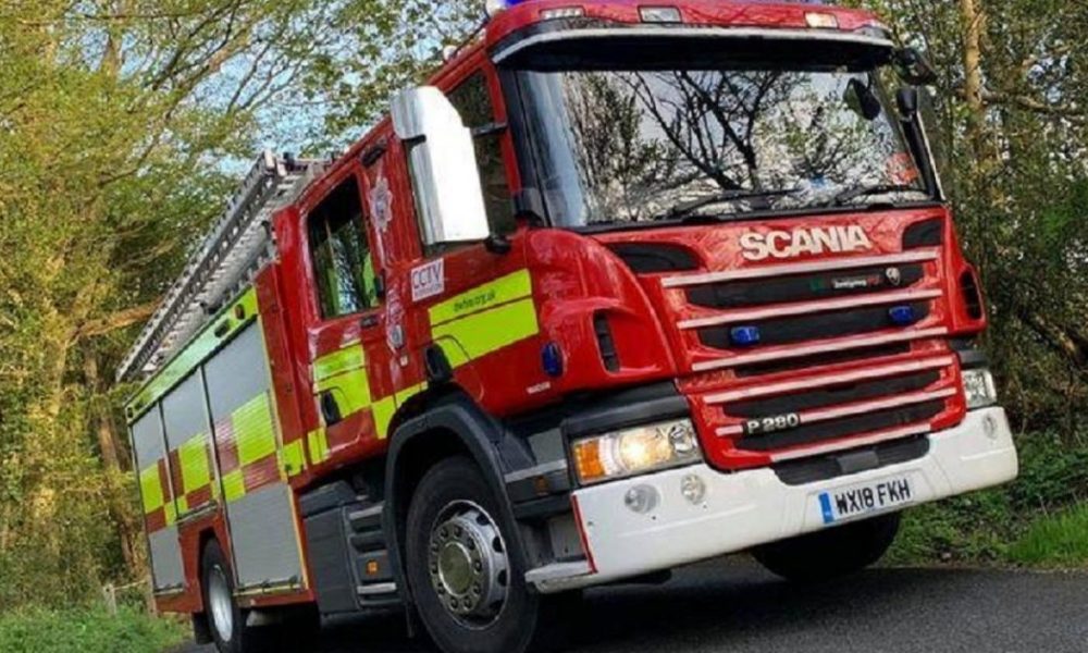 Firefighters rescue two dogs from river in Aldborough