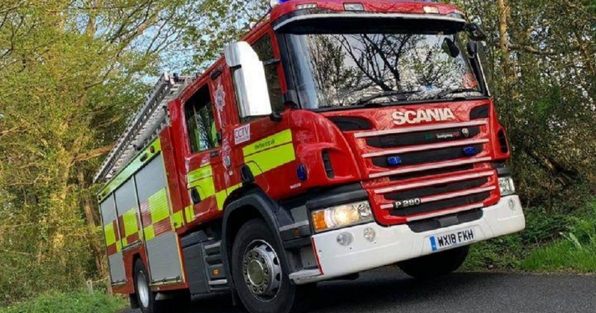 Firefighters rescue two dogs from river in Aldborough