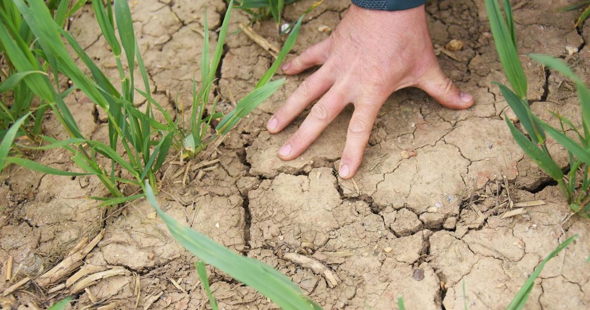 25m-deep hole to be drilled at York Wigginton Playing Fields