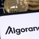Algorand price forecast