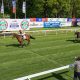 Punters back The Sun’s Save Our Bets campaign in glorious day out at Hamilton Races