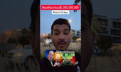 BlackRock Bought $2,000,000,000 worth of Bitcoin in 12 days straight