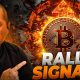 This Signals Bitcoin Is Ready To Rally