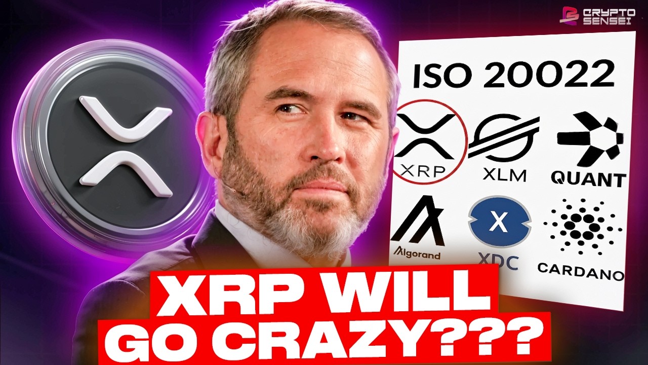 XRP ISO20022 DATE CONFIRMED??? XRP WILL GO CRAZY??