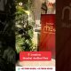 Unlock Your Financial Freedom with MahaVastu | please contact Mahavastu Acharya Dr. Montu Singh Dua