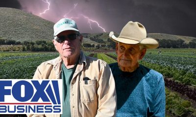 'REALLY SUFFERING': Farmers describe deepening financial California strain