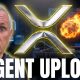 XRP Adds $900,000,000 In 24 Hours! You Missed This! All XRP Holders Need To Know This!