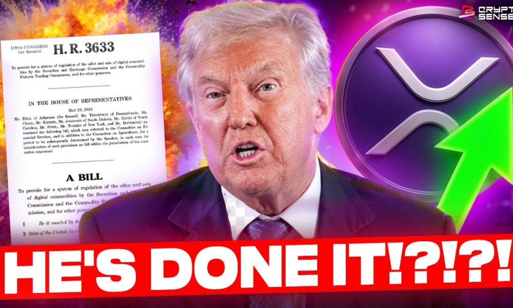OMG BRAD XRP CLARITY ACT!!!! (HE'S DONE IT??)