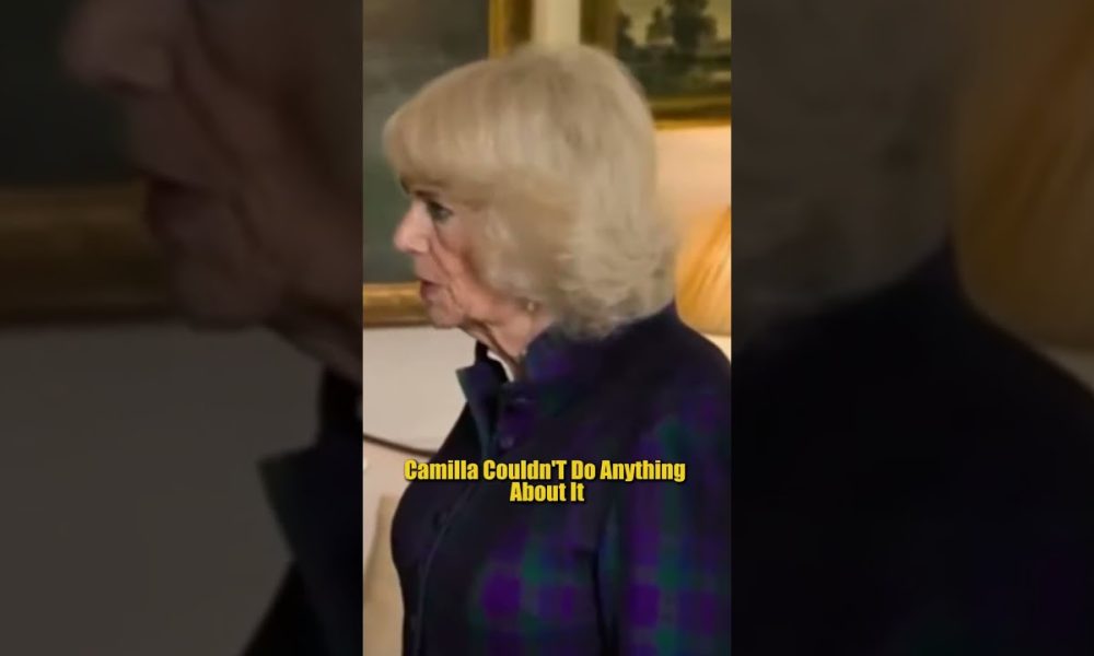 Prince William Cuts Annabel Elliot Contract Ending Camilla Financial Influence