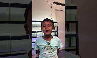 cerita lucuanak raja crypto beli channa langsung borong yg super #ceritalucu #kontenlucu #bosbosqu