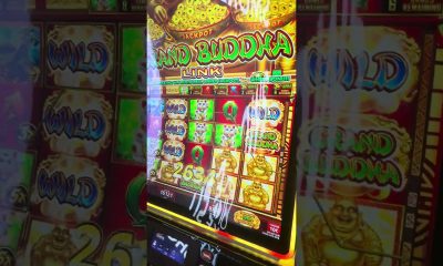 Buddha is paying the rent today #slot #money #casino