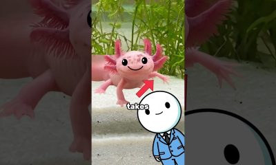 Axolotl Infinite Money Glitch?!