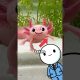 Axolotl Infinite Money Glitch?!