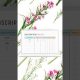 Financial Planner Bundle PRINTABLE
