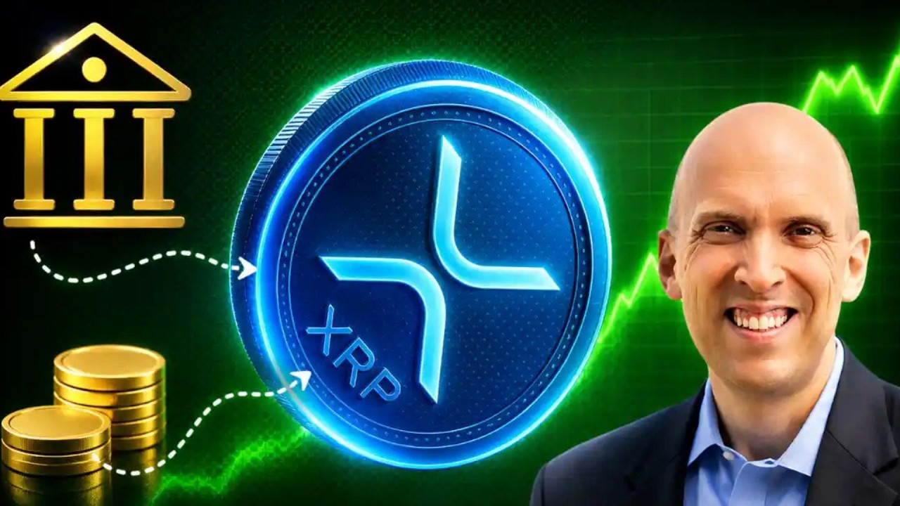 XRP BUYBACK CONFIRMED !!!! STU ALDEROTY ITS OFFICIAL !!!!