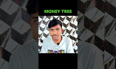 {Day 35} Job Vs Business #shorts #moneytree #finance
