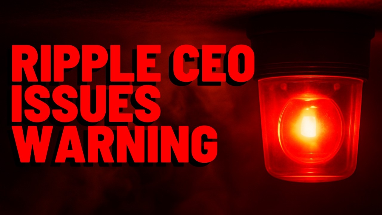 XRP: RIPPLE CEO ISSUES WARNING