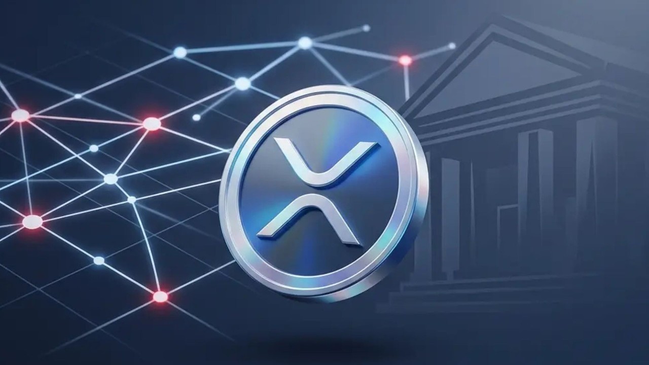 XRP BABACUGS WARNING !!!! ONLY XRP AND XLM !!!! BANKING COLLAPSE NOW !!!! DEMS HATE US 2028-2030 !!!