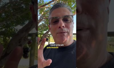 ISSO VAI SALVAR SUA VIDA FINANCEIRA