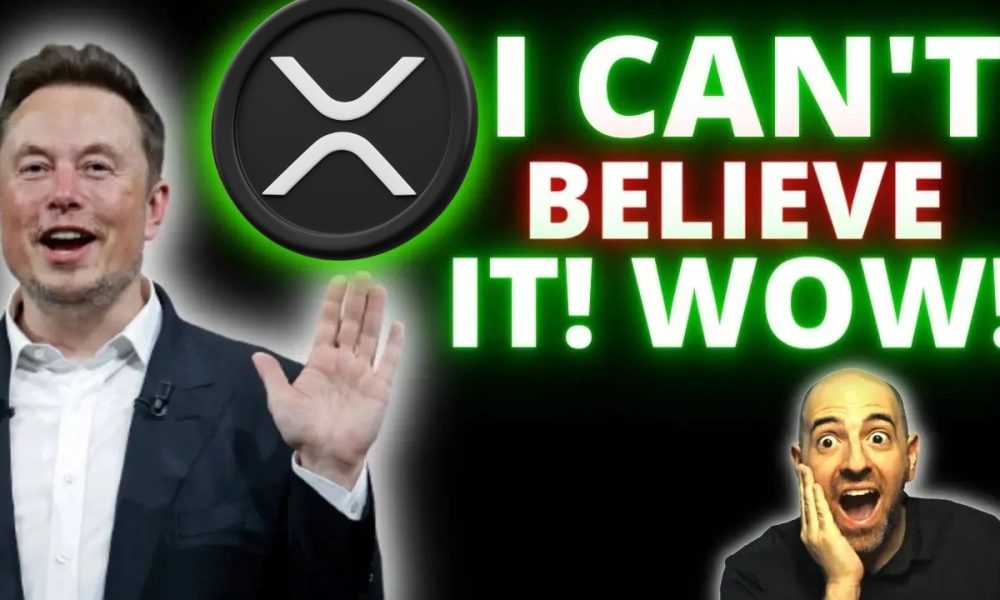 XRP JUST IN!! ELON MUSK JUST FLIPPED ON XRP?! THE USA ADMIDTS THERE IS A SECRET PLAN FOR CRYPTO!